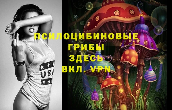ALPHA-PVP Новозыбков