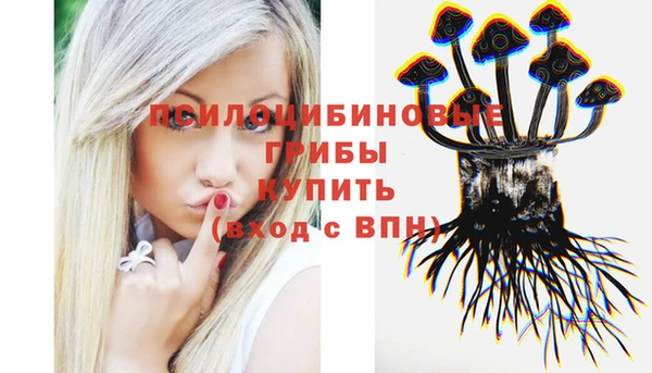 ALPHA-PVP Новозыбков