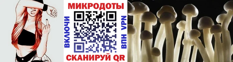 Псилоцибиновые грибы Psilocybine cubensis  закладка  Хотьково 
